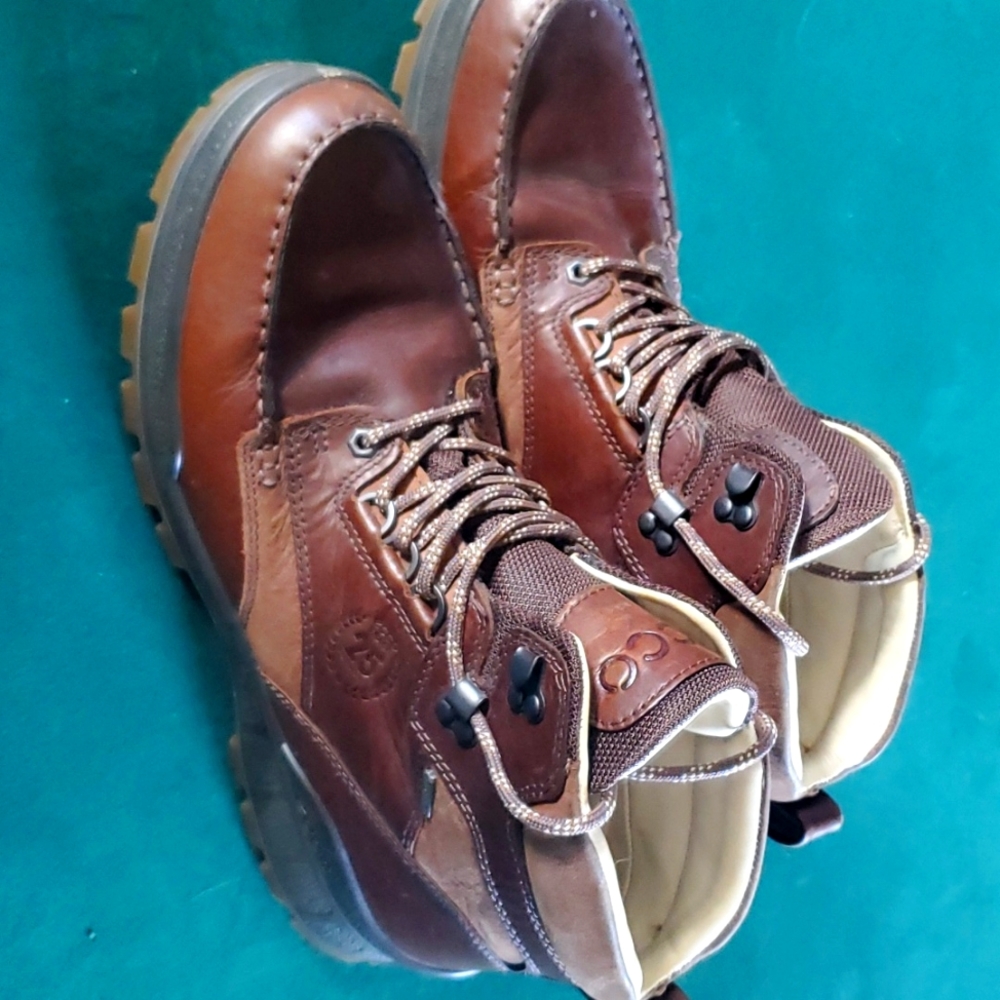 Men's Ecco boots